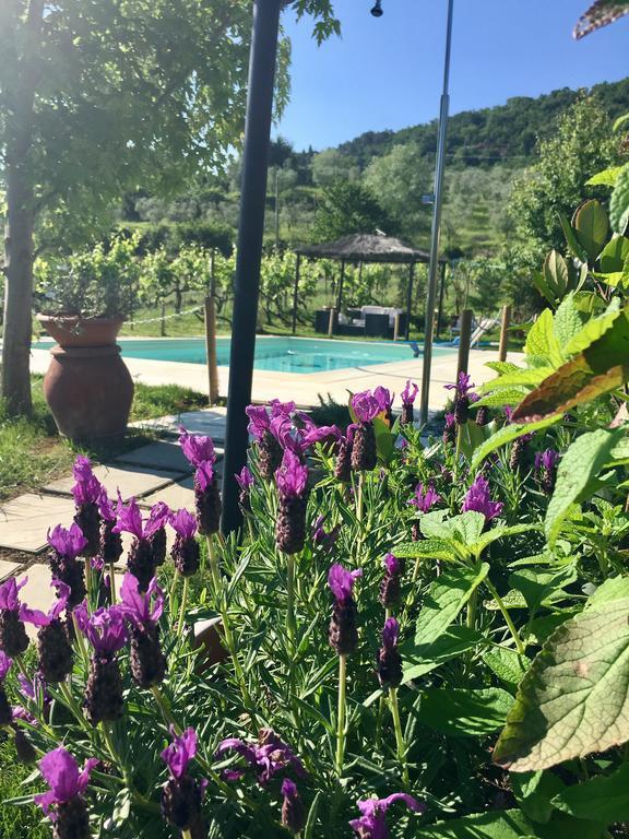 Country Room Il Moro Rignano Sull Arno Luaran gambar